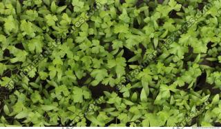 Photo of Various Textures